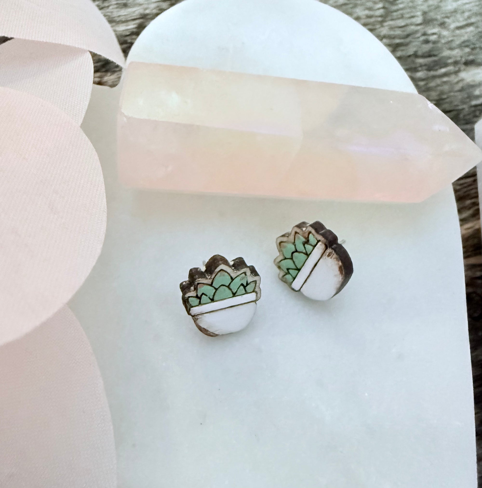 Potted Succulent Studs