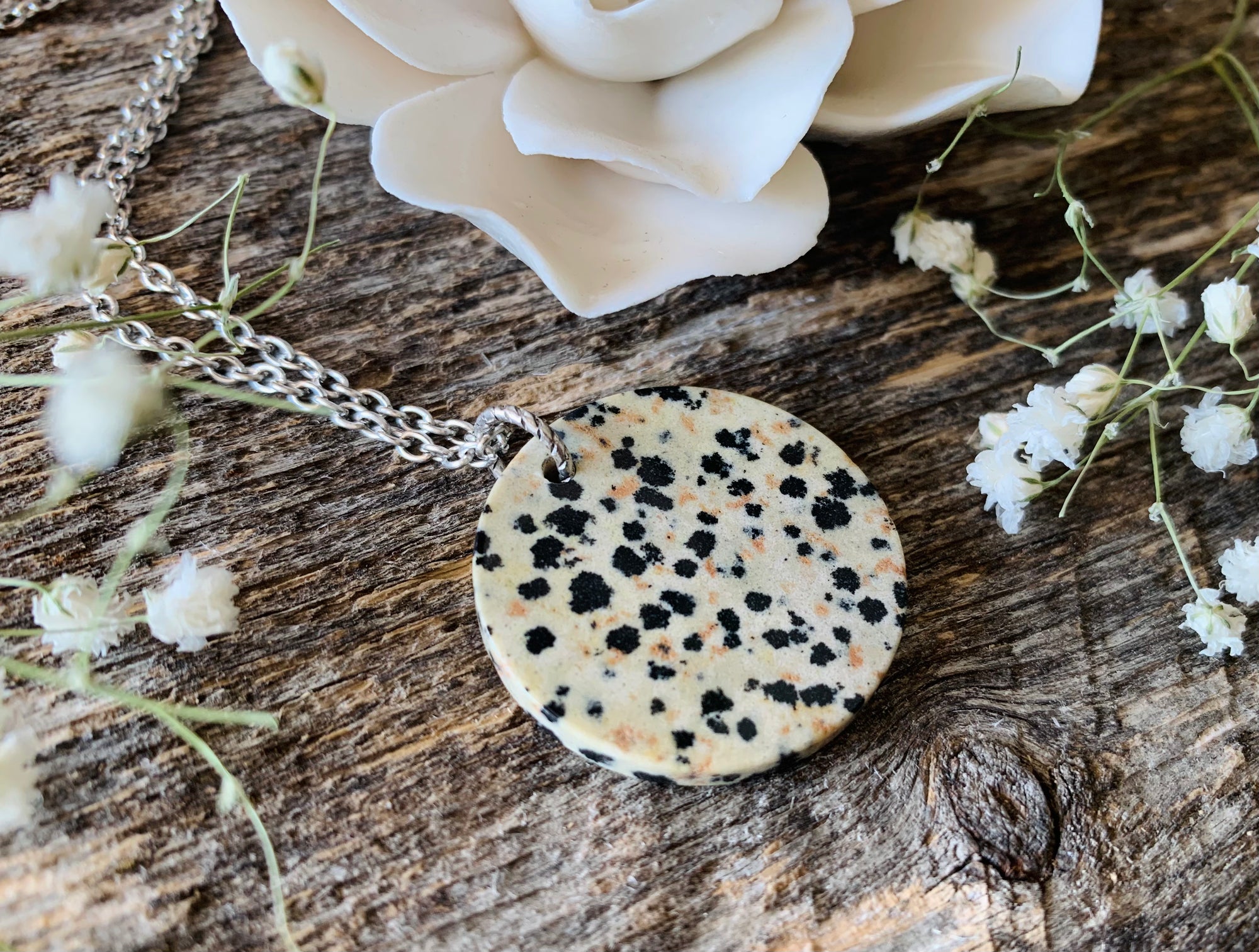 Dalmatian Jasper Gemstone Coin Necklace